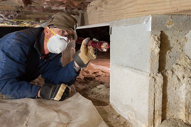 Learn More Here Discover the Benefits of Crawl Space Encapsulation